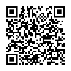 不过却在上次龙战带人去巡视的成果里找到了花生二维码生成