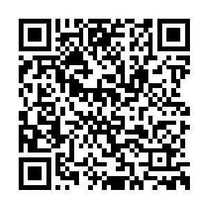 不过却被吴虎臣的示意的拳头给讪讪地收了回去二维码生成