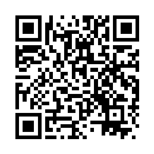 不过只在摩加迪沙和柏培拉机场有二维码生成