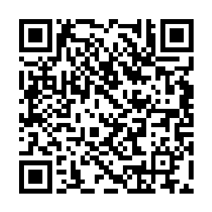 不过只挖掉了薄薄的一层罢了那冰面似乎是很坚硬二维码生成