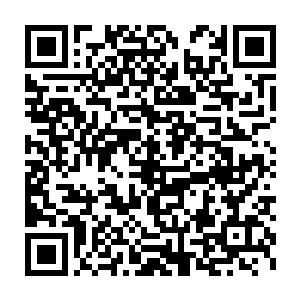 不过只是由五水灵阵散逸的阵法之力显现的类似于幻境一般的地域二维码生成