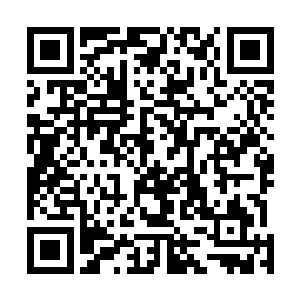 不过叶尊能够感觉到弑神剑内蕴藏着一股极为恐怖的力量二维码生成