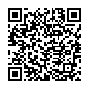 不过后来以前的主人把我取出来布设了那个如封似闭大阵二维码生成