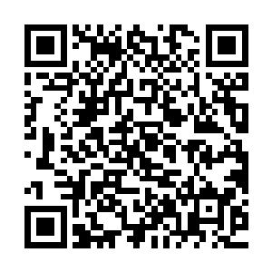 不过吴虎臣这滴黄金血也不过只是达到了龙象之力的象之力而已二维码生成