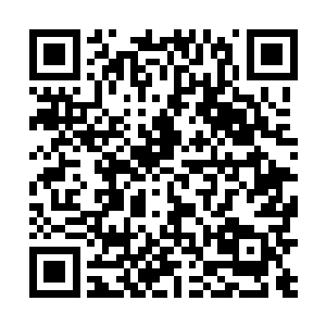 不过唐劫要想就此压下北海冰龙皇的想法依旧是破灭了二维码生成
