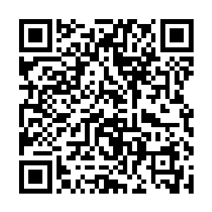 不过在东大陆一般是那些势力诸侯的直系属下使用的二维码生成