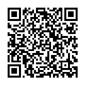 不过在云山别院那些长老们看来已经是难得的天赋了二维码生成