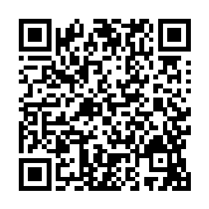 不过在她的眼中杨戬也不过就是一个涅盘境界的武者而已二维码生成