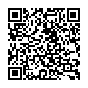 不过在感觉到木萦神识的熟悉感后就还是下意识的靠近了过去二维码生成