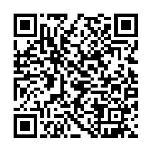 不过在杨开朝那个方向全力催动空间法则一炷香后二维码生成