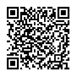 不过在此包括红衣老者在内的人还是被重伤到了二维码生成