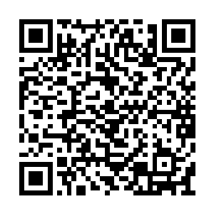 不过在没有搞清楚老龟的来历他怎么会轻易靠近二维码生成