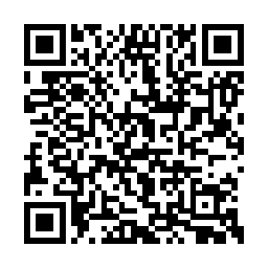 不过在看到陪在张东城身边的竟然是帕翠西娅后二维码生成