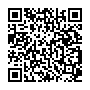 不过夏云杰只准备在地球和远蛮界岛之间建立单对单的子母阵二维码生成