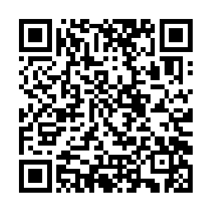 不过夏天能够完美的将所有的剑术和感悟融合在一起二维码生成