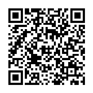 不过她好奇的是此处离她和周狼吃饭的包厢有一段距离二维码生成