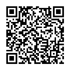 不过她对我还有些排斥――等到再熟悉一些就好了二维码生成