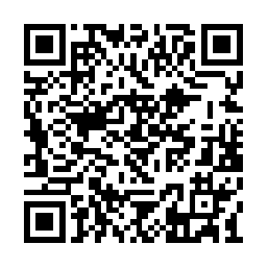 不过她爹已经领着她大哥哥气势汹汹地去找碴了二维码生成