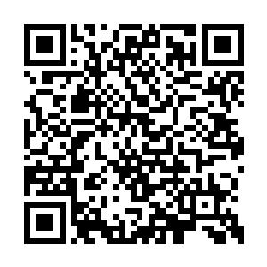不过她这一次回学校来的主要目的可不是来玩的二维码生成