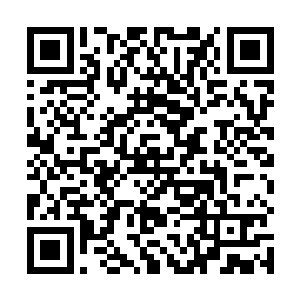 不过她这笑容满面的样子倒是让她身边的下人吓了一跳二维码生成