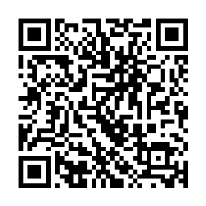 不过季婉茹还是很礼貌的站在一旁面带微笑的倾听着二入的谈话二维码生成