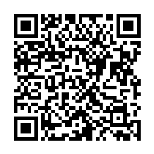 不过它也不是那个只会在火堆旁边瑟瑟发抖的小不点了二维码生成