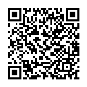 不过它们不像外面那些聚集过来的亮点那么活泼二维码生成