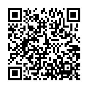 不过对于海族内的功法剑尘和努比斯二人都无法修炼二维码生成