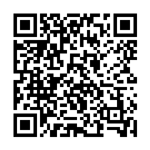 不过对于这次的事情四人也是打算直接跟着教皇坦白二维码生成