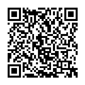 不过就在谷灵的手指要碰到我领口的衣服的时候二维码生成