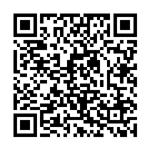 不过就是到吻戏那一部分的时候总是感觉有点不对劲二维码生成