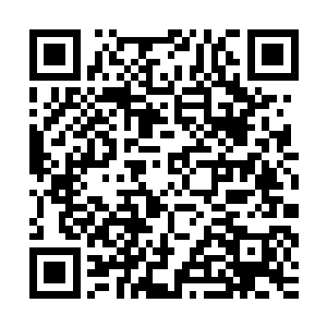 不过布朗很固执一家要把带来的一些东西在屋子的几个角上装好二维码生成