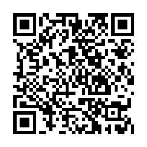 不过师父张易修炼道天虚境其实是散修修炼而成二维码生成