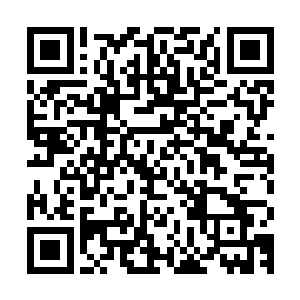 不过并没出现一剑刺穿胸膛的情况而是发出一声金铁碰撞的脆响二维码生成