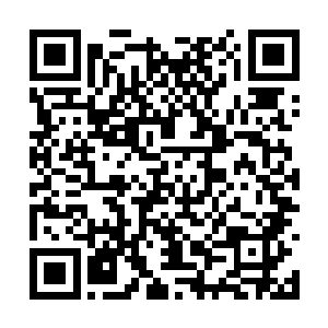 不过当他扫向数据面板中全新出现的那些信息之后二维码生成