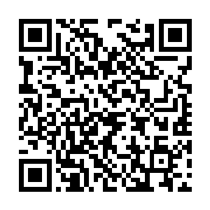 不过当沙罗曼蛇战队的具体参赛信息传回太阳系后二维码生成