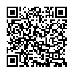 不过当看到大黄背部被玻璃渣扎进去的伤口时候二维码生成