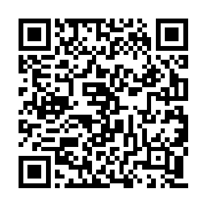 不过当龙傲天见到这个黑衣人的本尊的样子之后二维码生成