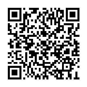 不过待我将这些凶兽练成六道天书道统的一部分二维码生成