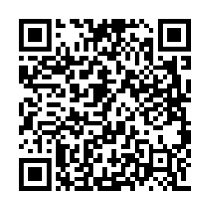 不过忘了后来什么时候那对夫妇就没再出现过了二维码生成