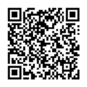 不过想想这小家伙在血脉未觉醒的情况下就有三种天赋法术二维码生成