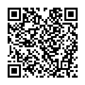不过我不确定那张人脸是不是只能够通过眼神来迷惑人二维码生成