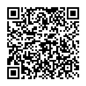 不过我们的小王子罗杰殿下特意邀请了该炼制者参加今晚的宫廷宴会二维码生成
