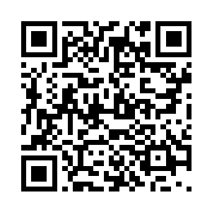 不过我们认为马里奥先生不需要中医二维码生成