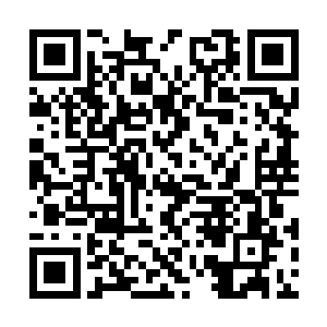 不过我对于找其他佣兵团当替死鬼这种事不太适应二维码生成