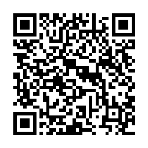 不过我希望商老板能为我的女儿量身定制一套衣服和舞蹈二维码生成