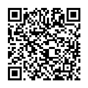 不过我的手刚从白奇雪的腰上放下来转眼就拉住了她的手二维码生成