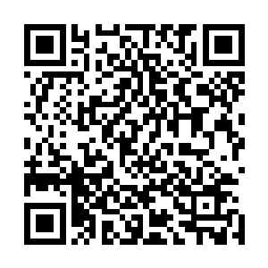 不过所有人都感受到了球场上那紧张的空气所带来的压迫感二维码生成