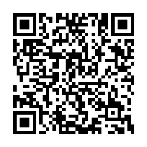 不过持神弓前来展示的前辈乃是我珍宝楼的长辈二维码生成