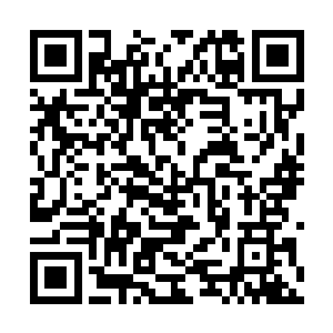 不过接下来西格玛询问机器人z2093为什么要睡在床下的时候二维码生成